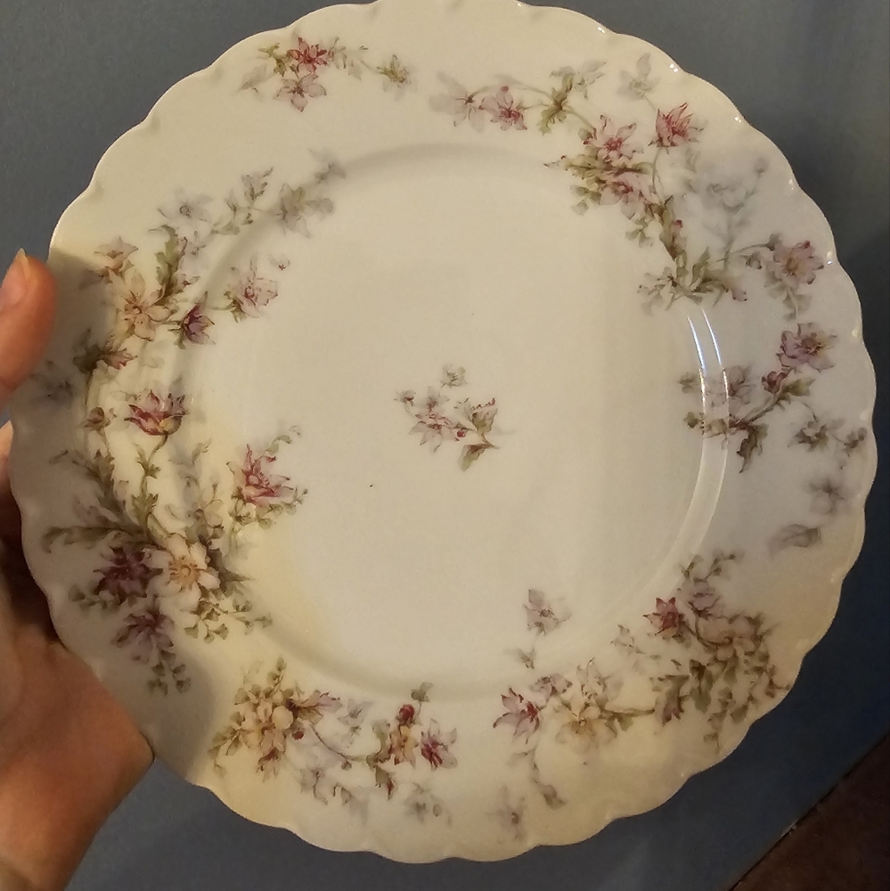 Gorgeous Designer Plate